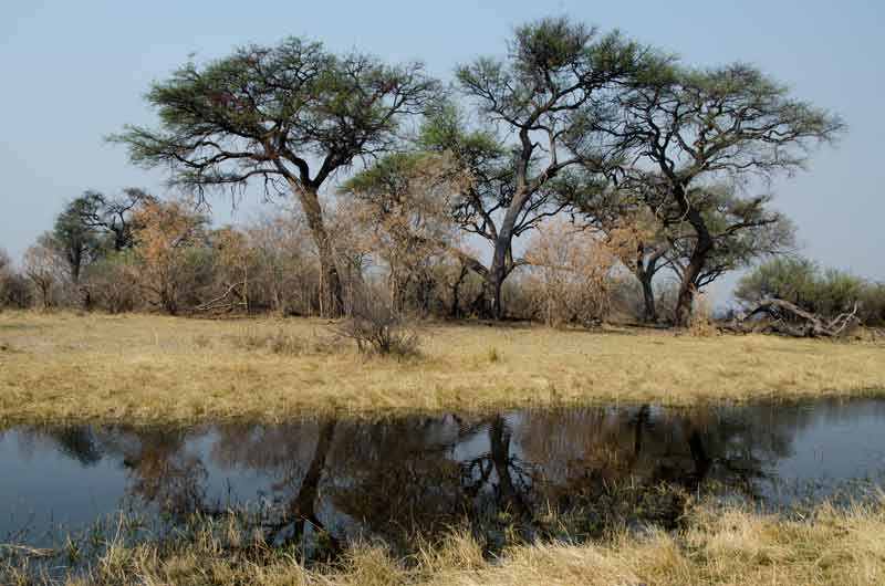69 - Namibia - parque nacional de Bwabwata - paisaje